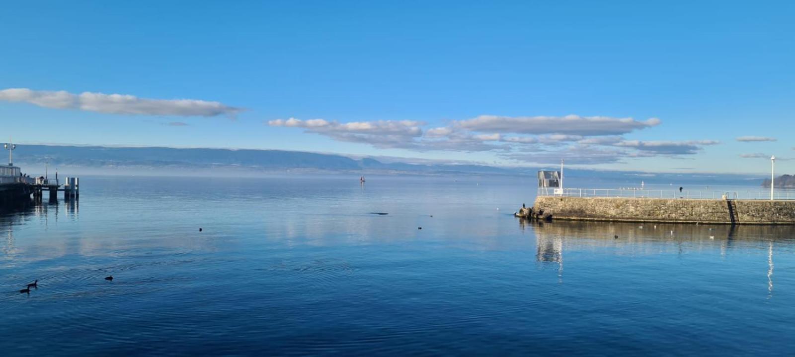 L'Eden Apartment Thonon-les-Bains Bagian luar foto